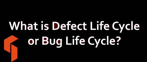 What is a Defect or Bug Life Cycle